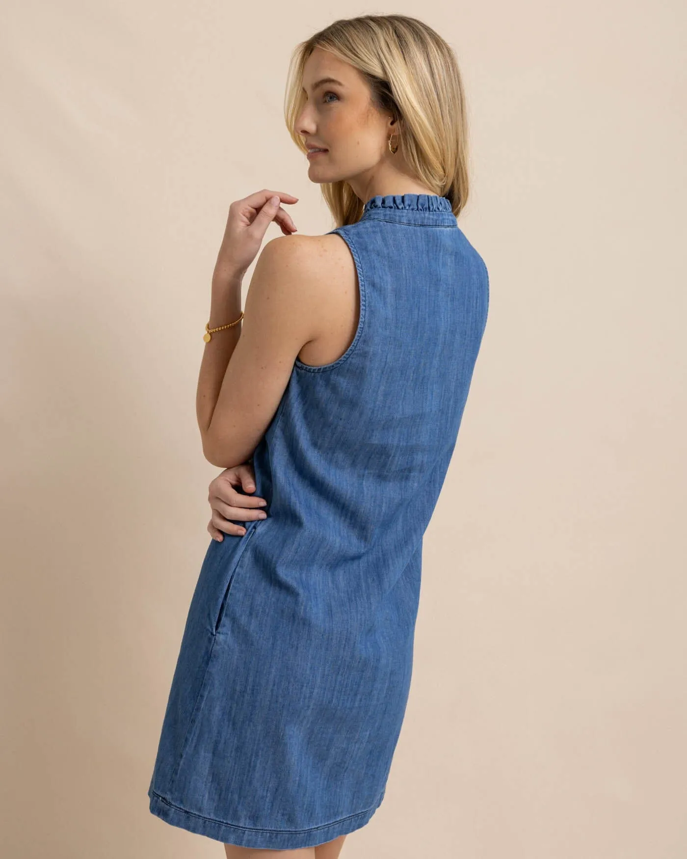 Adelyn Denim Dress