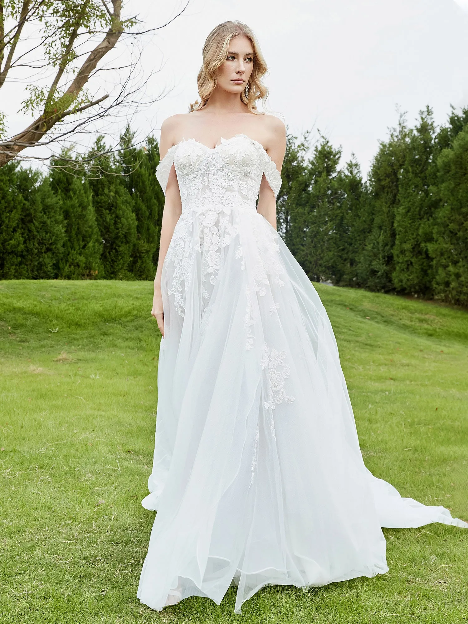 Appliqued Off-the-shoulder A-line Wedding Dress Champagne